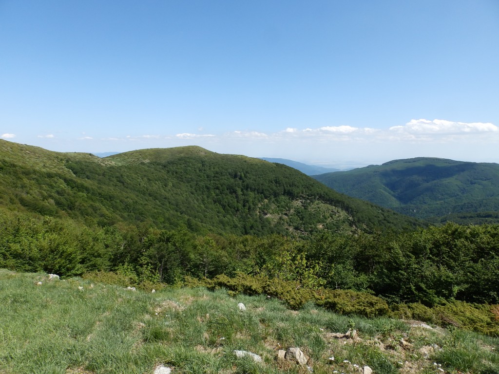 Еленски Балкан